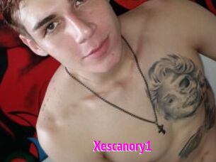 Xescanory1