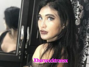 Xhorseccktransx