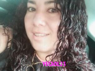 YECAOL23
