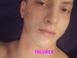 YNGVIPER