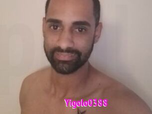 Yigolo0388