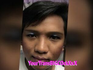 YourTransBIGCOckXxX
