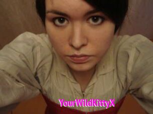 YourWildKittyX