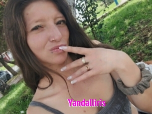 Yandalliris