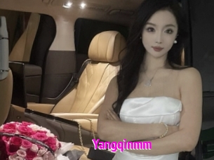Yangqinmm