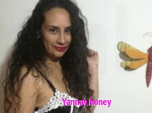 Yannay_honey