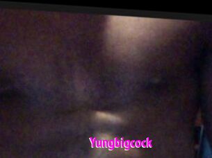 Yungbigcock