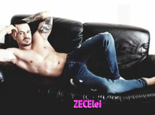 ZECElei