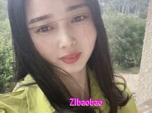 ZIbaobao