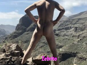 Zebrito