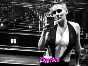 ZiggyRed