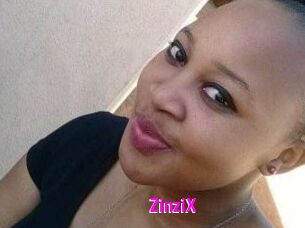 ZinziX
