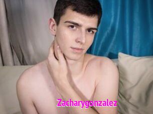 Zacharygonzalez