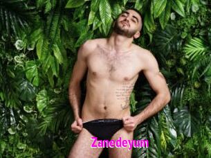 Zanedeyum