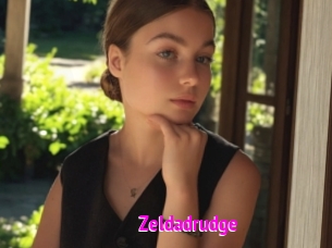Zeldadrudge