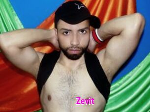 Zevit