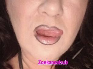 Zoekanaalsub